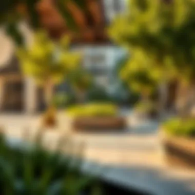 Community Spaces and Amenities in Studio City Vibrant community spaces within Studio City