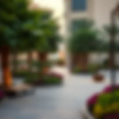 Local Amenities in Al Rahba Local amenities in Al Rahba enhancing community life