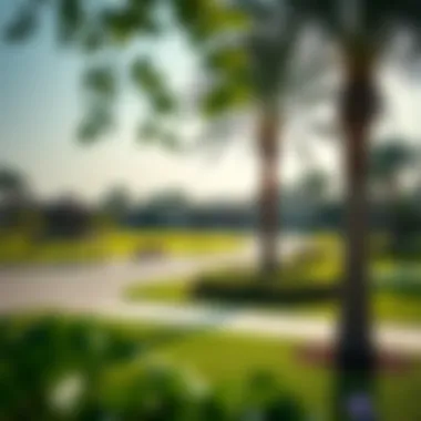 Community Park in Arabian Ranches Community park in Arabian Ranches