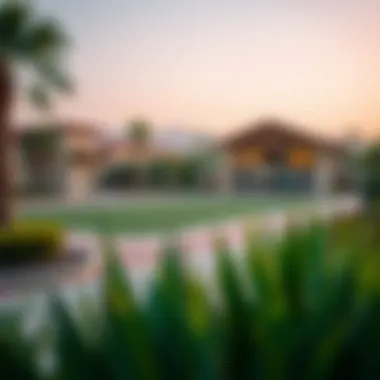 Recreational Facilities in Arabian Ranches Recreational facilities in Arabian Ranches