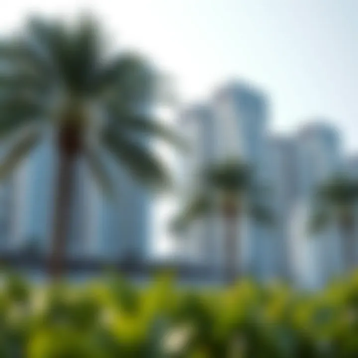 The Significance of the 8 Palm: An In-Depth Analysis Introduction